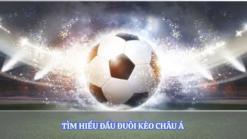 Tìm hiểu đầu đuôi kèo châu Á 